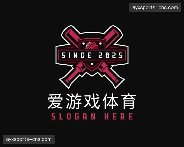 介绍爱游戏体育